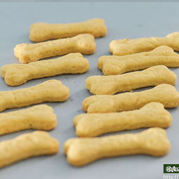 尋寵記寵物零食店加盟全解析 寵物餅干市場的黃金投資機遇